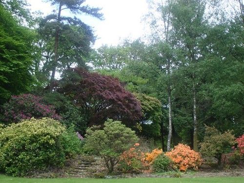 Barnhill House Apartment Glasgow Bagian luar foto
